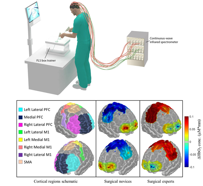 Graphic of Bimanual Motor Skill Proficiency Classification and Discrimination via Near-infrared Brain Imaging
