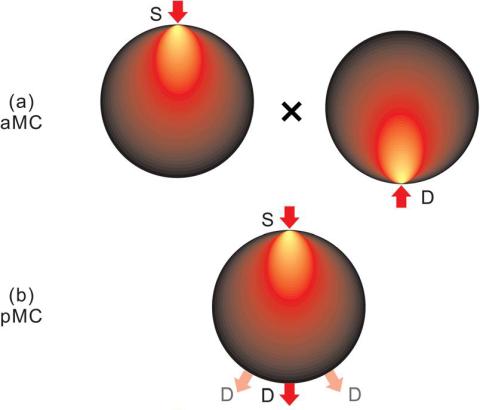 Graphic of Monte Carlo-based optical tomography