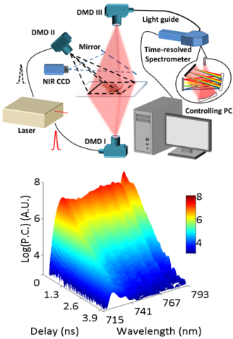 Graphic of Hyperspectral Wide-field Single-pixel Time-resolved Diffuse Optical Imaging