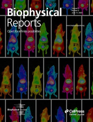 Cover Art for Biophysical Reports