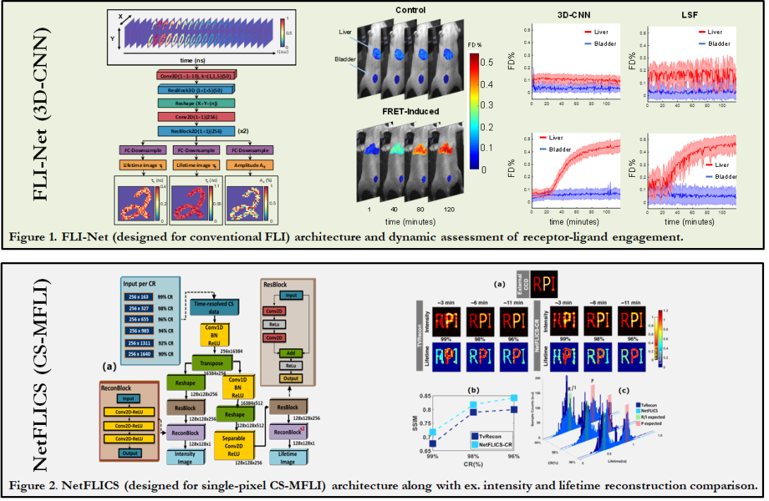 Graphic of improved 3D/4D diffuse optical imaging reconstruction