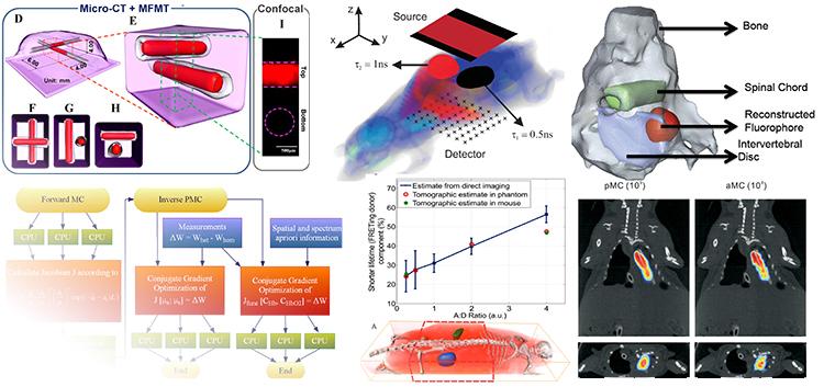 Biomedical research graphic
