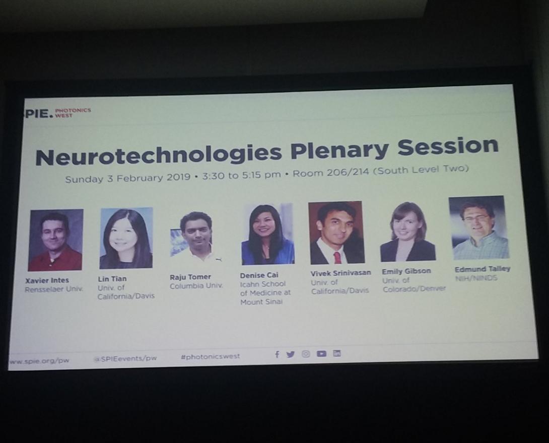 Image from a research presentation