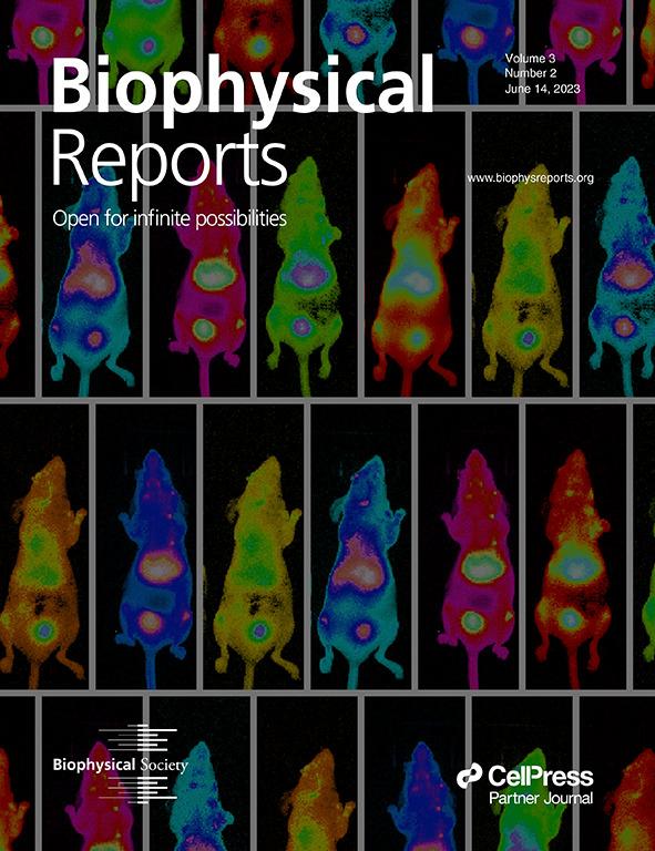 Cover Art for Biophysical Reports